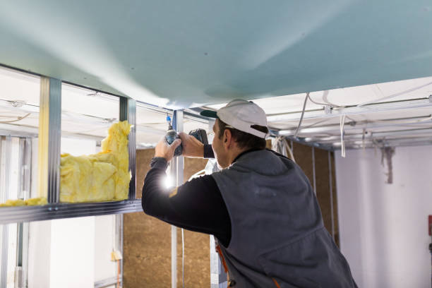 Best Commercial Insulation Services  in , NH