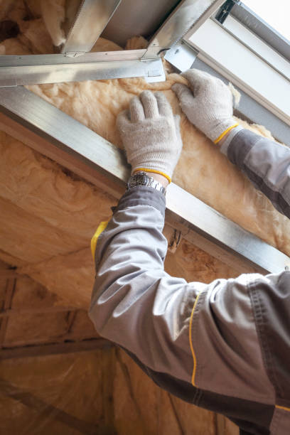 Best Eco-Friendly or Green Insulation Solutions  in , NH